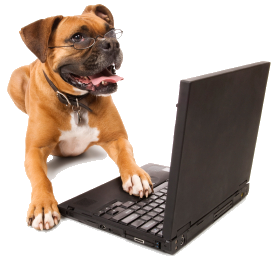 Hond achter laptop