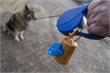 Leiden | Gemeente Leiden in actie tegen overlast hondenpoep