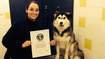 Amsterdamse hondentrimster verbreekt record met wassen 167 honden