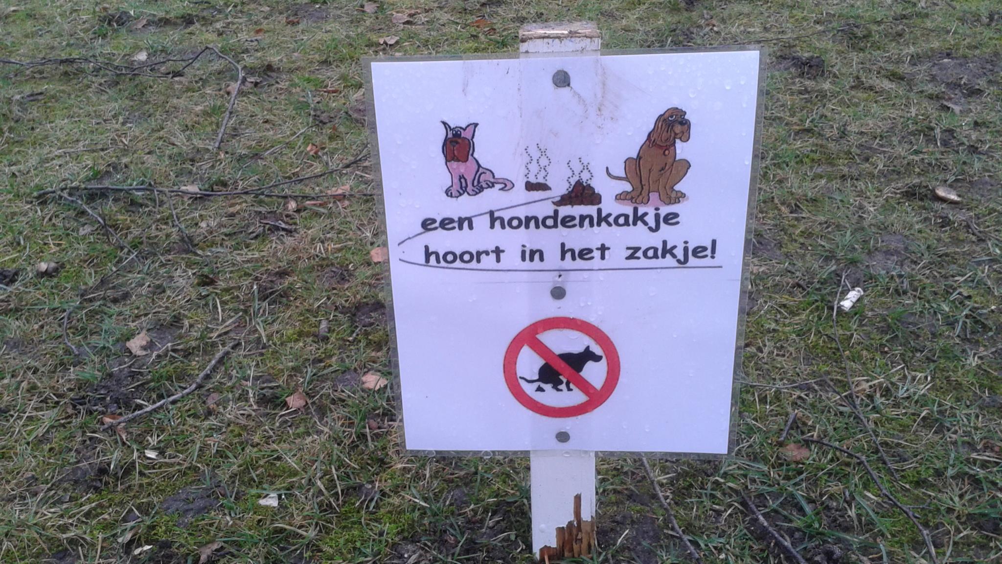 Kinderen basisschool Oldenzaal maken waarschuwingsborden tegen hondenpoep