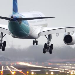 Algemeen | Vliegverkeer Schiphol even stil voor hond