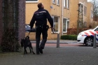 Politie Putten roept hulp hondenbezitters in