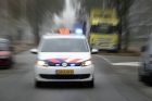 Weggelopen honden overleden na aanrijding