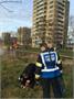 Zuid-Kennemerland | Brandweer redt uitgeput hondje uit water Parkwijk