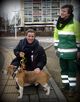 Trein stopt voor hond op het spoor tussen Schagen en Anna Paulowna