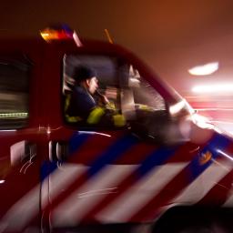 Algemeen | Twaalf honden dood door brand in Nederweert