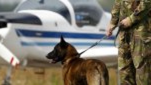 Taliban neemt Amerikaanse hond gevangen