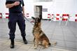 Amsterdam | Politiehond bijt agente in been bij aanhoudingen Amsterdam Oost