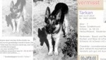 Weet iemand waar hond Tarkan is?