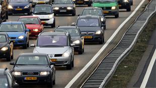 Dode hond op A58: flinke file tussen Tilburg en Oirschot