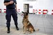 Amsterdam Centrum | Politiehonden op zoek naar vermiste Noor