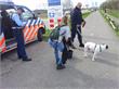 Duin- en Bollenstreek | Marechaussee vindt gewonde hond in Noordwijk