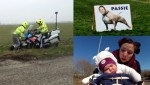 Online update: De politie zit vast, baby op de fiets en politiek een hondenbaan