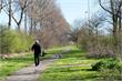 Haarlemmermeer | Gemeente plaatst nieuwe hondenpoepbakken en borden