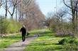 Haarlemmermeer | Gemeente plaatst nieuwe hondenpoepbakken en borden