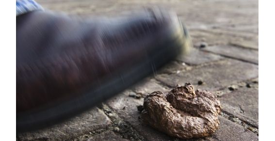 Gooien met hondenpoep nekt burgemeester