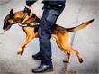 Tilburg | Politiehond pakt inbreker