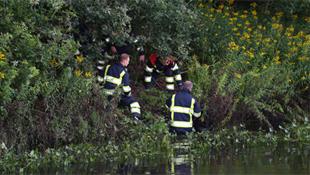 Hond in problemen in water Sint-Oedenrode, brandweer redt dier