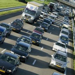 Algemeen | Hond op middenberm zorgt voor file A50