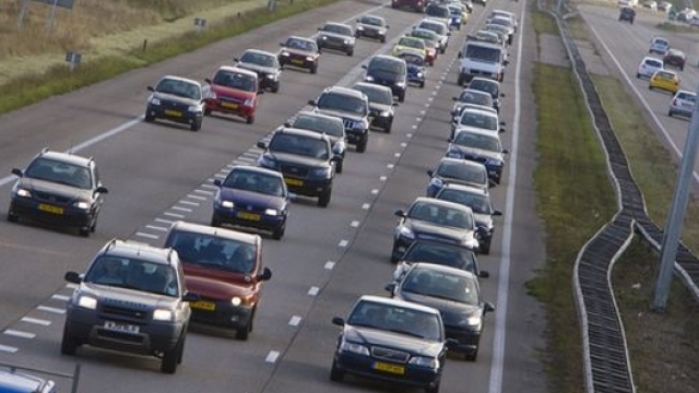 File A50 vanwege loslopende hond