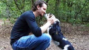 Hond Ona die verdween na ongeluk in Waalwijk gevonden in maïsveld, baasje Tom is zielsgelukkig