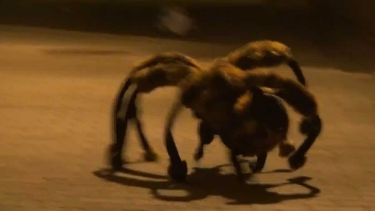 Hond in spinnenpak jaagt mensen stuipen op het lijf