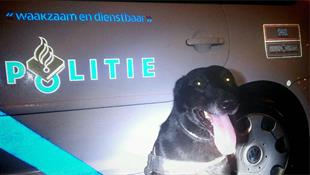 Politiehond Rex saves the day! Drie inbrekers school Mierlo op heterdaad gepakt