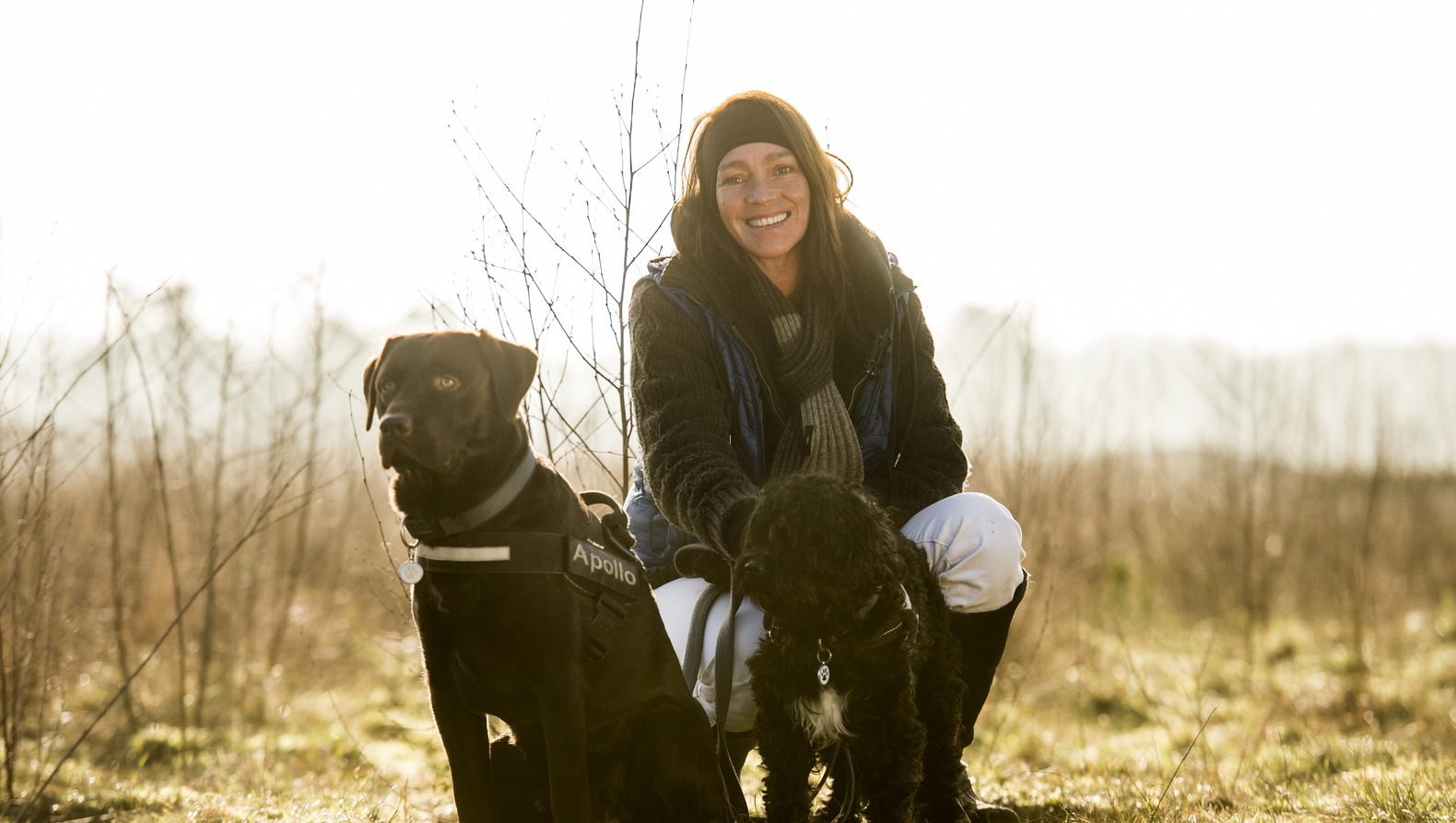 Eerste klachten voor meldpunt bijtende honden