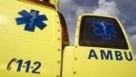 Hond takelt dakloze toe op Hoofdstation in Stad