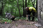 Honden speuren stroomstoringen op voor Enexis