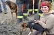 Alphen | Hond vast in konijnenhol in Alphen aan den Rijn
