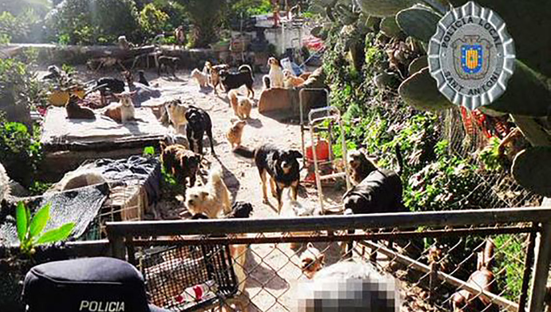 Politie treft 70 honden en 30 katten aan in woning