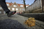 Alleen vesting Heusden wacht nog op hondenpoepcontainers