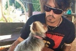 Hondjes Johnny Depp met privévliegtuig uit Australië gered