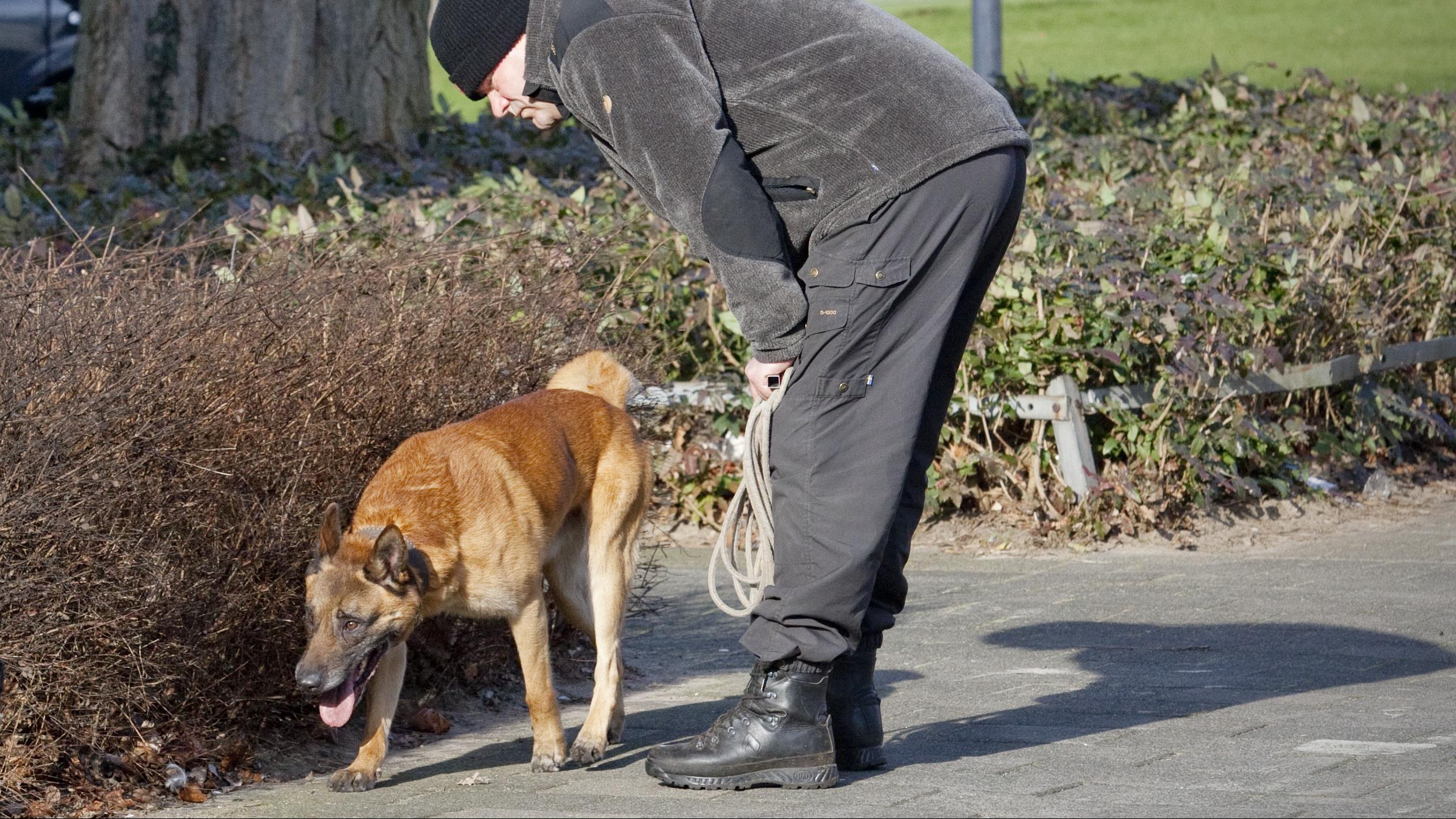 Politiehond speurt drie vluchtende inbrekers in Enschede op
