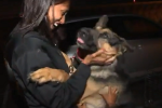 Emotionele reünie: vermiste hond na drie jaar terug thuis