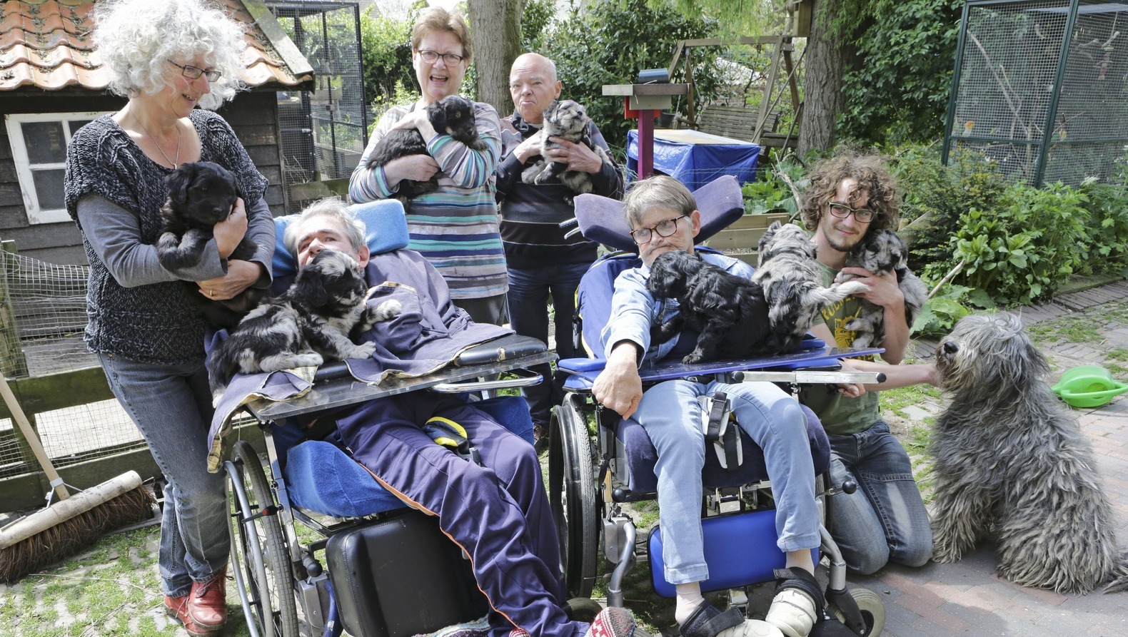 Zeven bijzondere pups geboren in Andel