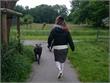 Groningen | Gevaarlijke hond houdt Beijum in de ban