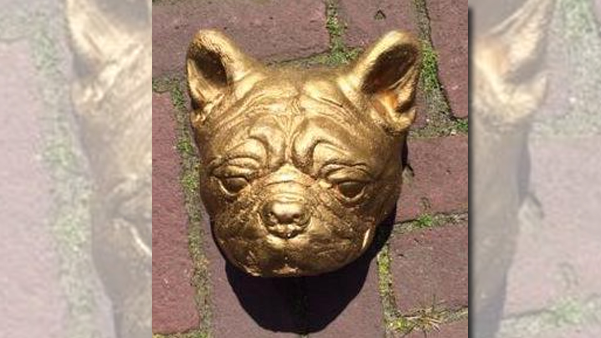 Opmerkelijk: Politie zoekt eigenaar van gouden hondenkop
