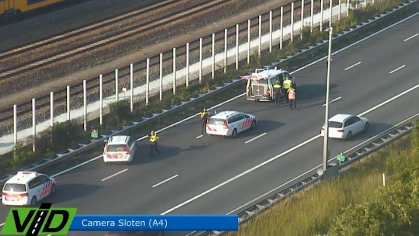 Loslopende hond zorgt voor file op de A10