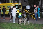 Herdershond trekt vrouw van fiets in Waalwijk: vrouw lichtgewond