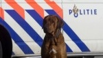 Delfzijlster bij aanhouding gebeten door politiehond