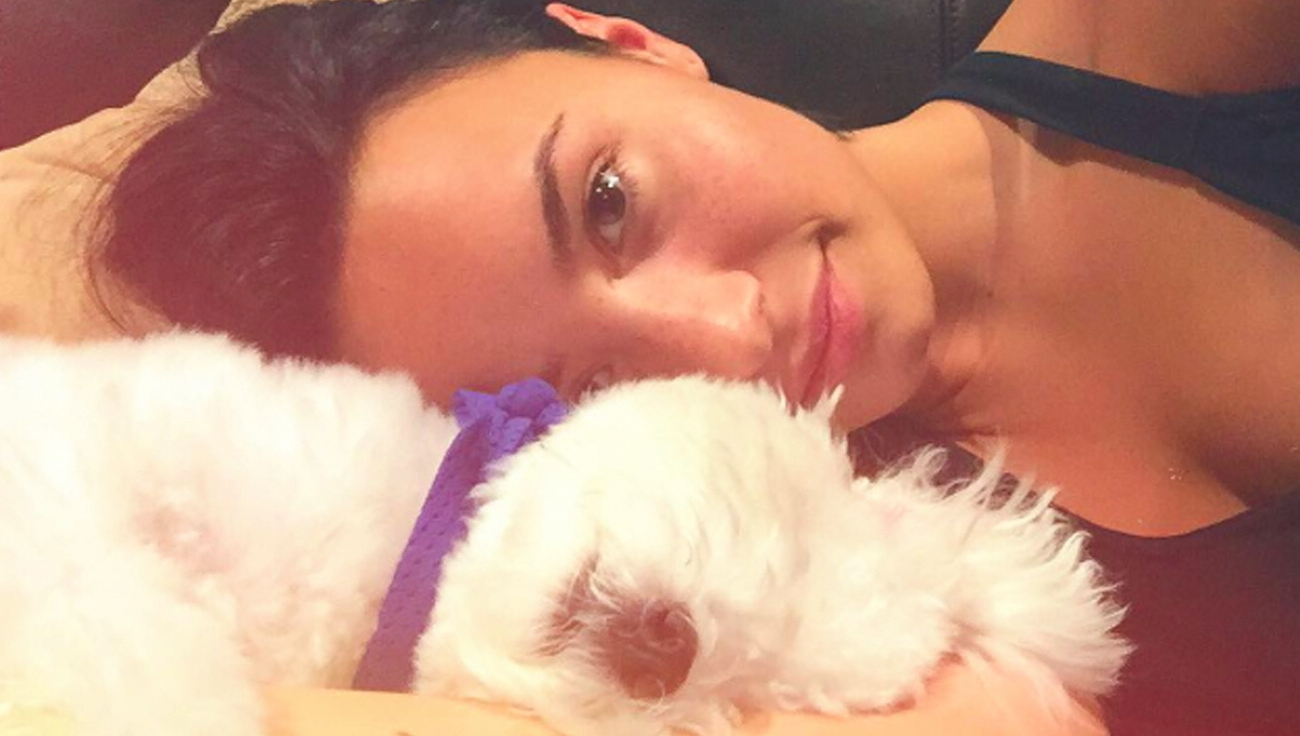 Geliefde hond Demi Lovato dood door ongeluk