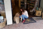 Beboete Oss stadshond Smous heeft veel lotgenootjes