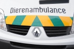 Hondje aangereden op A50 bij Apeldoorn