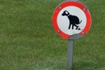Salland | Toilet voor hond in stad Lochem