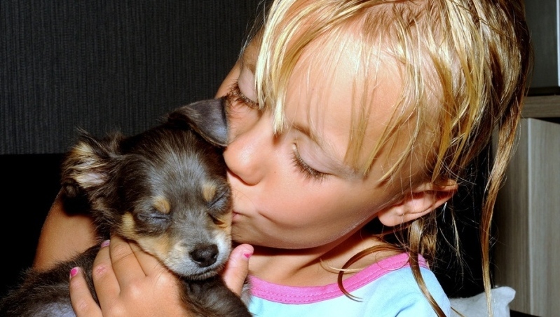 Nieuwe puppy voor Conny na verdronken hondje in fontein