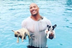 The Rock deelt vertederende filmpjes van luie puppies