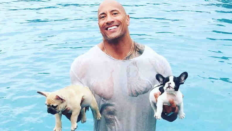 Actieheld The Rock laat piepjong puppy inslapen