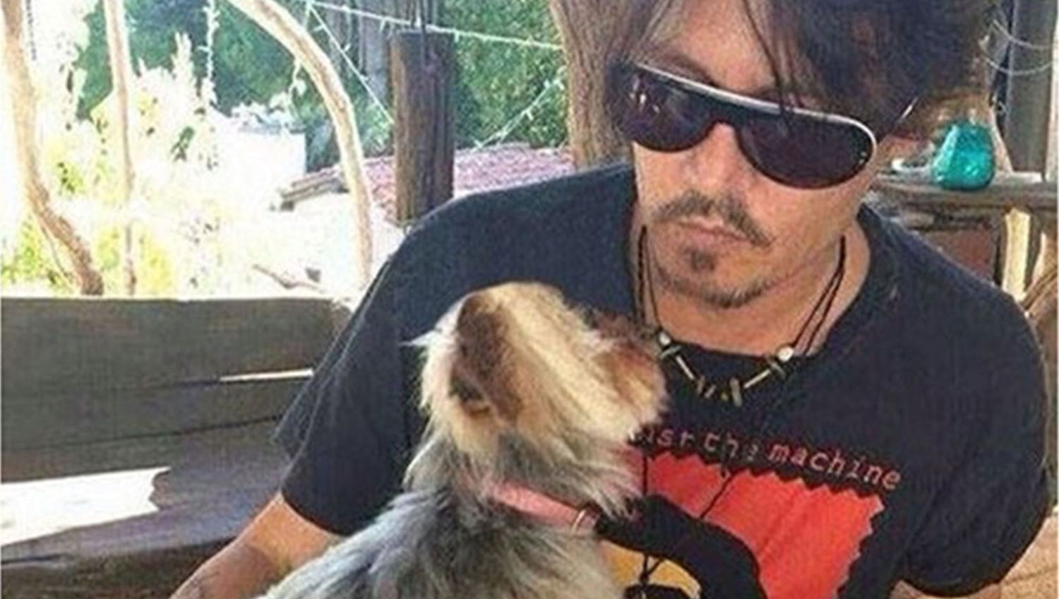 Proces over honden Johnny Depp in november verder